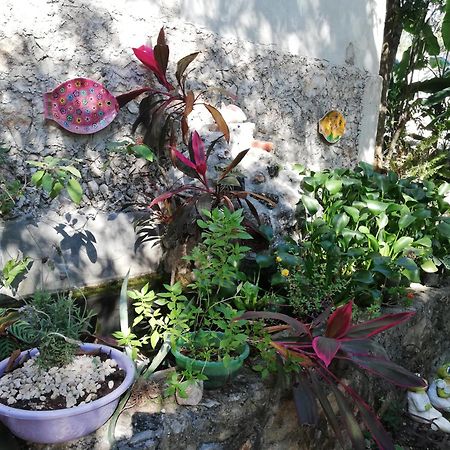 Mayan Bungalow Near Chichen Dış mekan fotoğraf