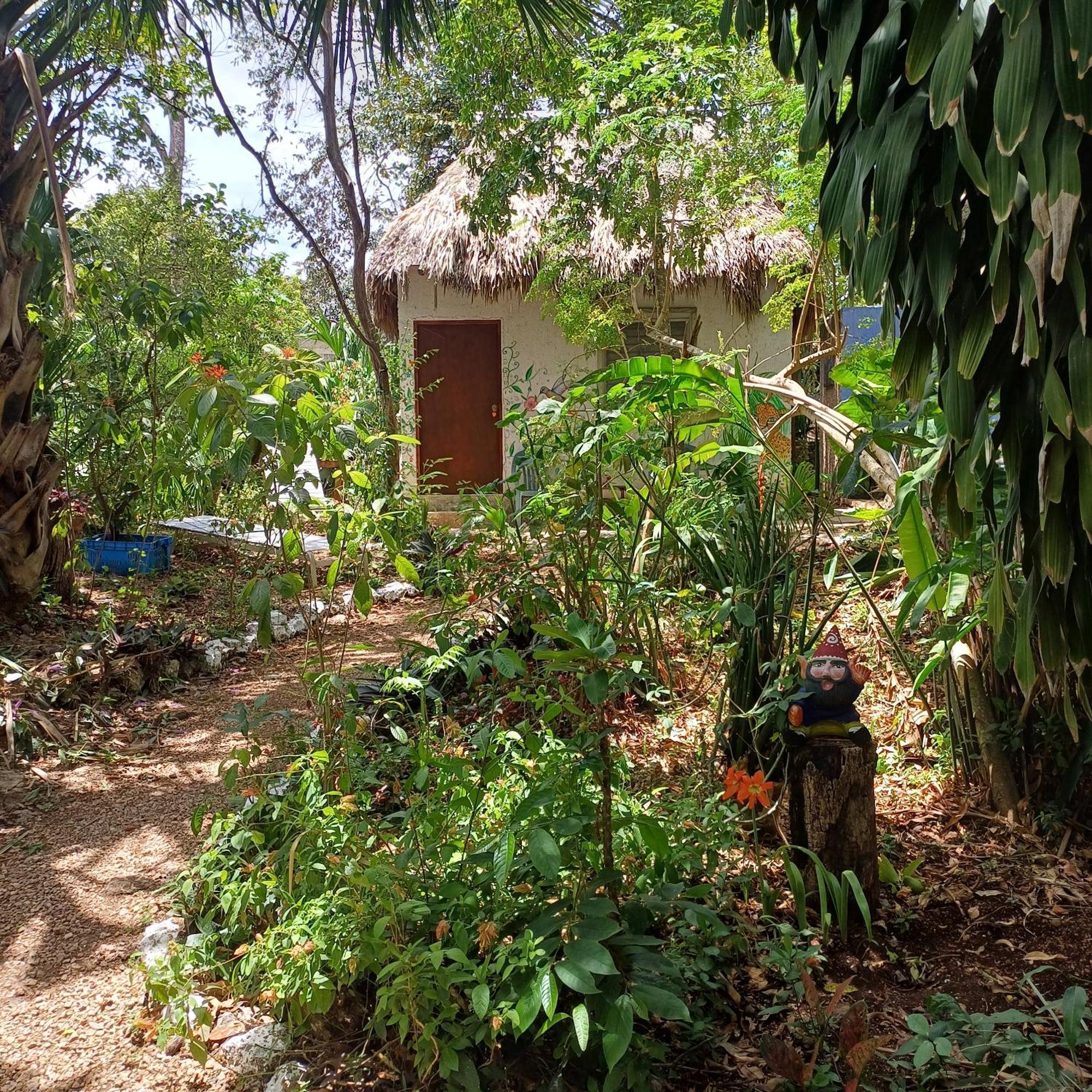 Mayan Bungalow Near Chichen Dış mekan fotoğraf