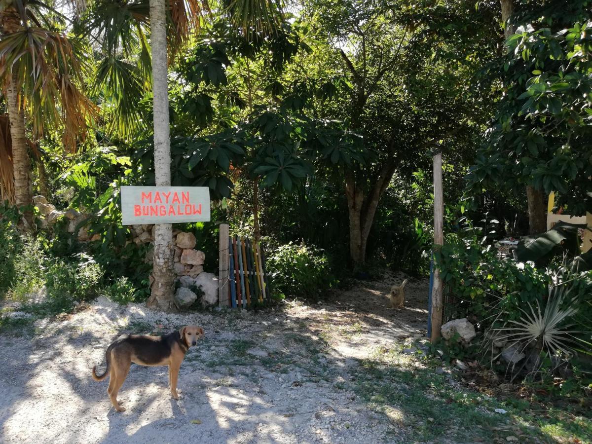Mayan Bungalow Near Chichen Dış mekan fotoğraf